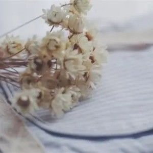 Meet your Posher, Jane